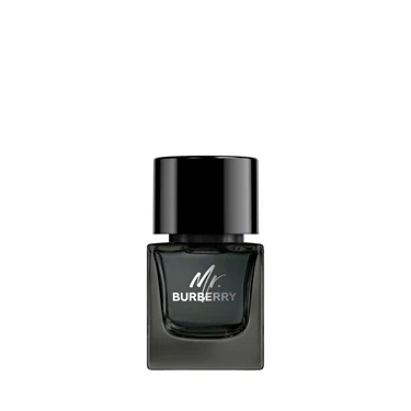 MR Burberry Eau De Parfum - Image 3