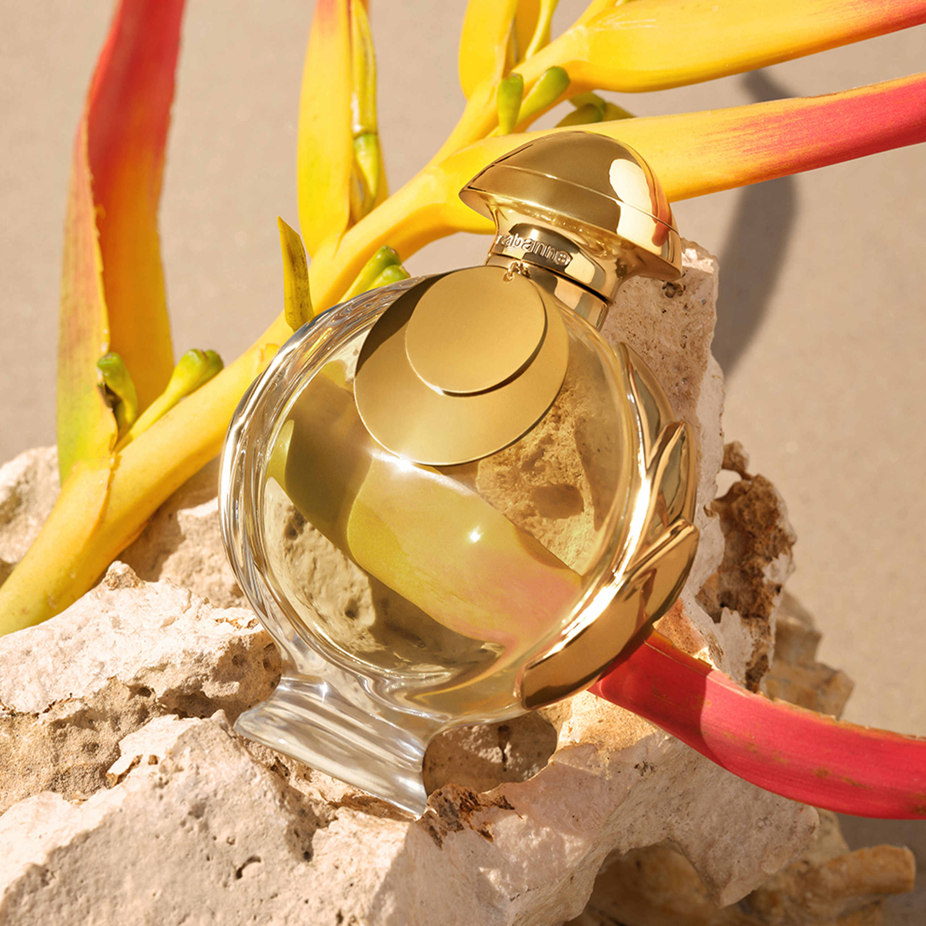 Rabanne Olympea Elixir Eau De Parfum - Image 6